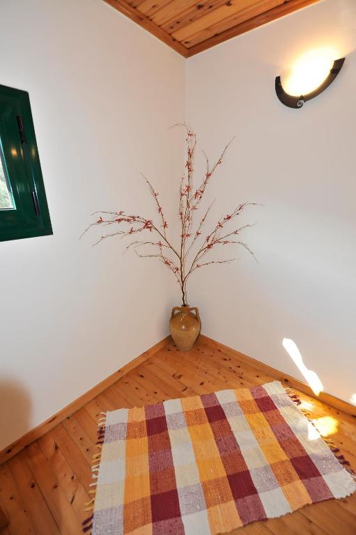 Pieros Studios Lisipios Paleokastritsa Bagian luar foto